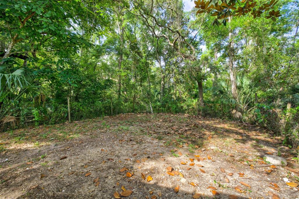 4586 Flambeau Loop Homosassa, FL 34448 - Photo 54 of 80