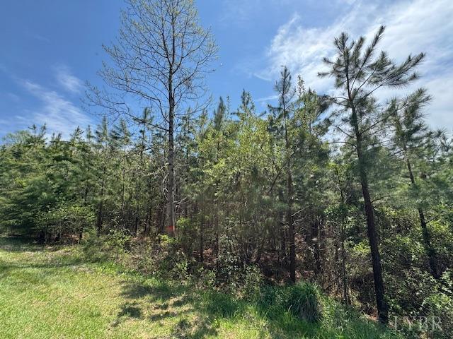 6 Spencer Road Concord, VA 24538 - Photo 2 of 8 a view of a garden