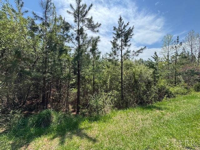 6 Spencer Road Concord, VA 24538 - Photo 3 of 8 a view of a garden