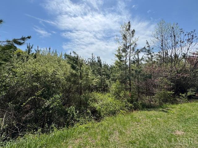 6 Spencer Road Concord, VA 24538 - Photo 4 of 8 a view of a green field
