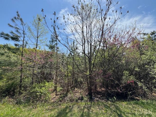 6 Spencer Road Concord, VA 24538 - Photo 5 of 8 a view of a covered with trees