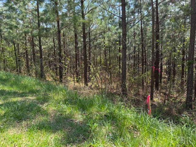 6 Spencer Road Concord, VA 24538 - Photo 6 of 8 a flag is sitting in the middle of a yard