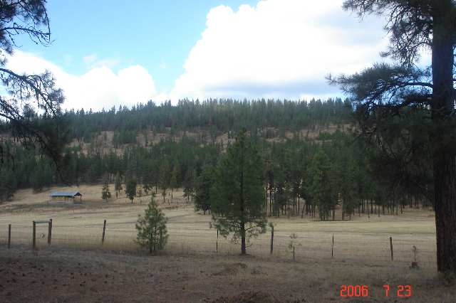 5552 Happy Hill Road Tumtum, WA 99034 - Photo 7 of 9 Gallery Image 7
