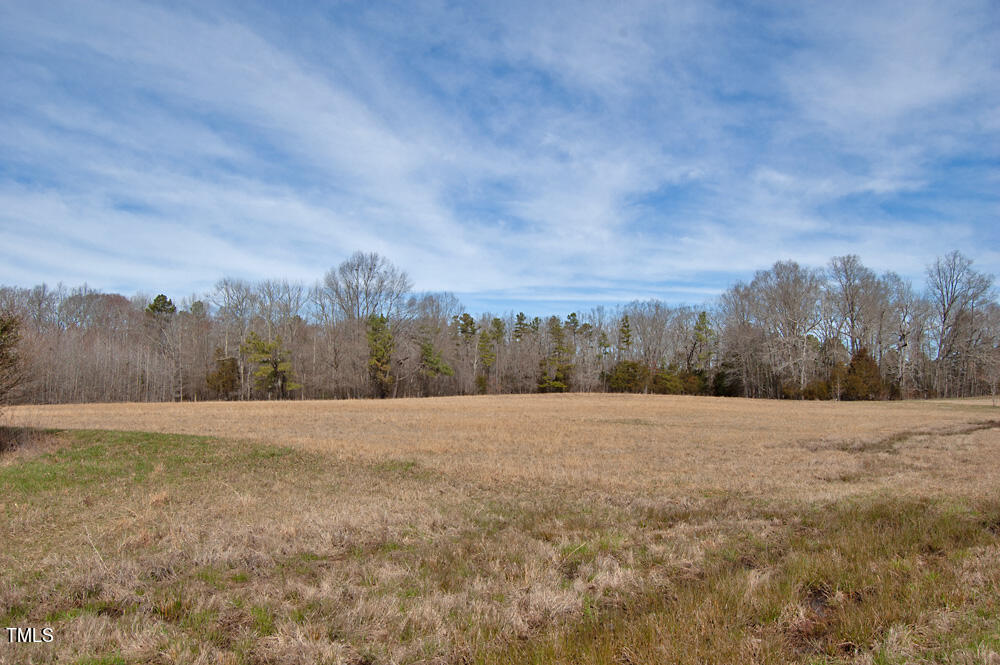 0 Highway 87 Pittsboro, NC 27312 - Photo 13 of 87 DSC_0274