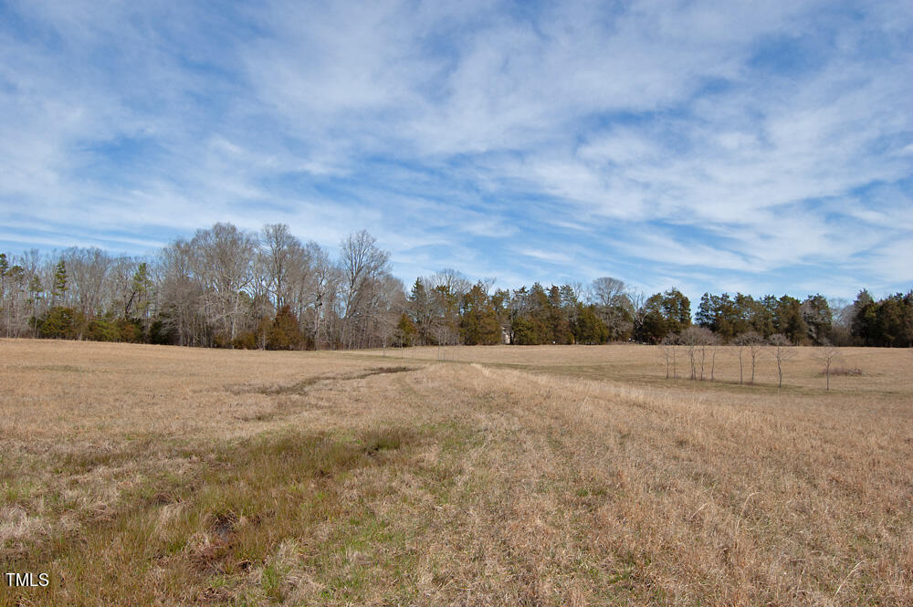 0 Highway 87 Pittsboro, NC 27312 - Photo 14 of 87 DSC_0275
