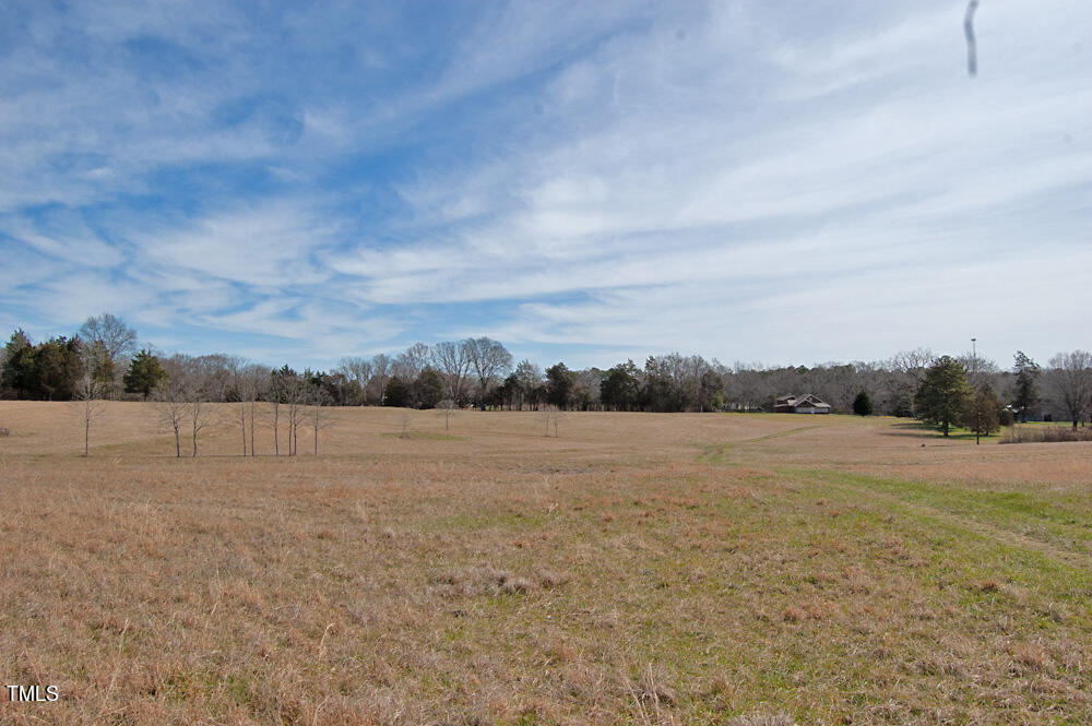 0 Highway 87 Pittsboro, NC 27312 - Photo 15 of 87 DSC_0276