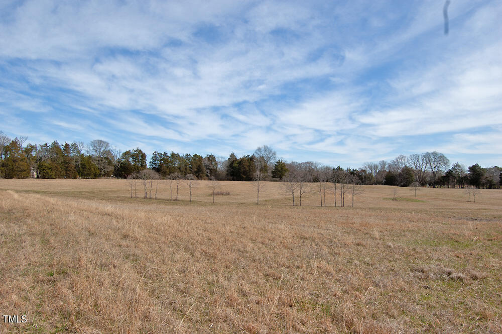 0 Highway 87 Pittsboro, NC 27312 - Photo 16 of 87 DSC_0277