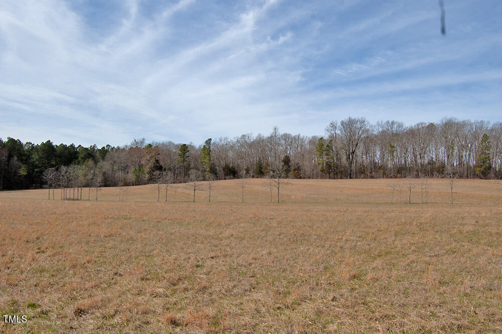 0 Highway 87 Pittsboro, NC 27312 - Photo 17 of 87 DSC_0279