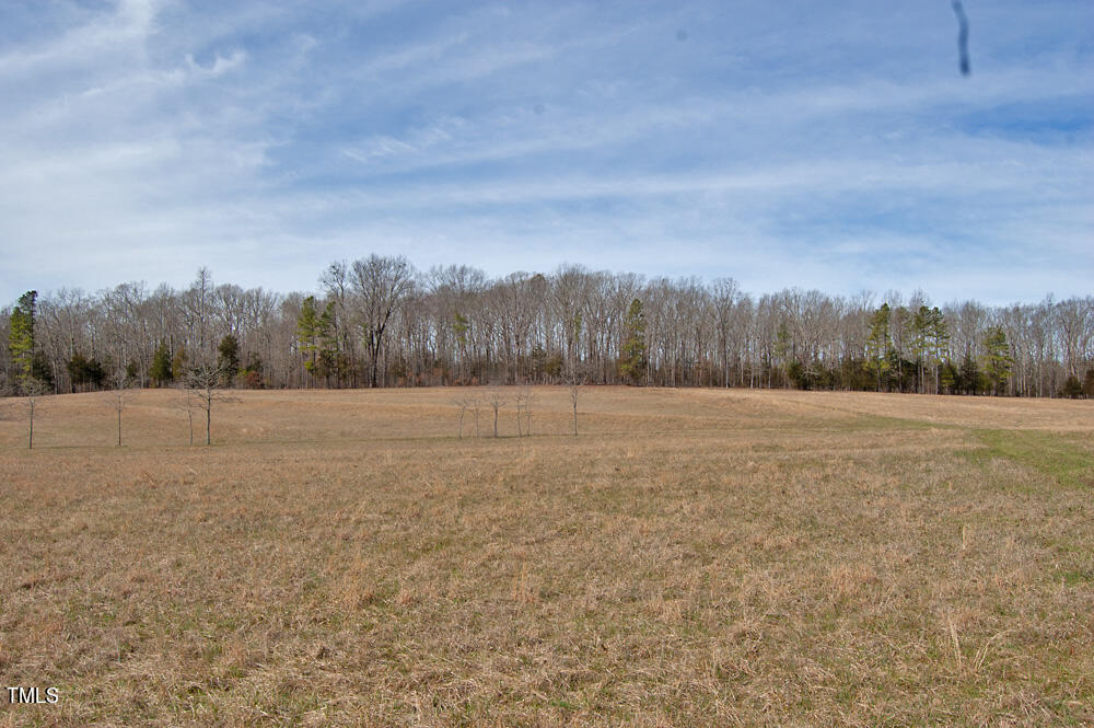 0 Highway 87 Pittsboro, NC 27312 - Photo 18 of 87 DSC_0280