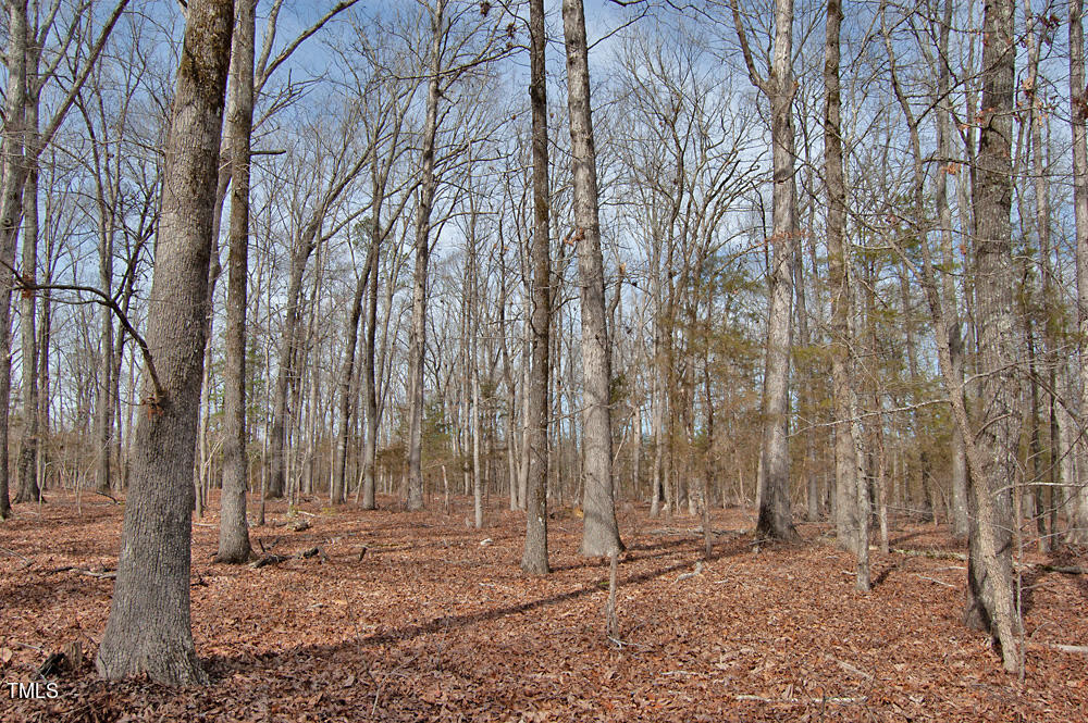 0 Highway 87 Pittsboro, NC 27312 - Photo 19 of 87 DSC_0283