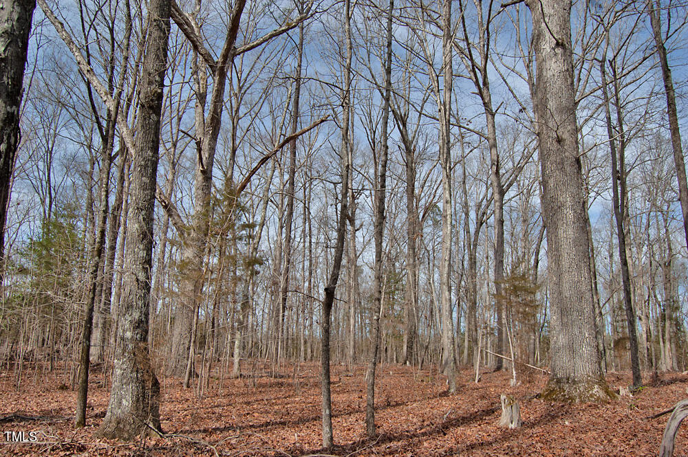 0 Highway 87 Pittsboro, NC 27312 - Photo 22 of 87 DSC_0286