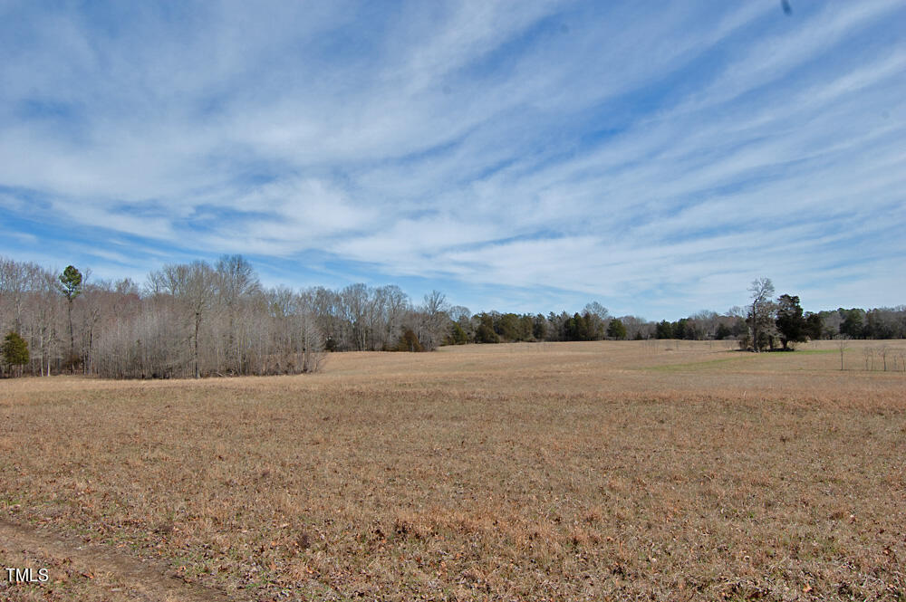 0 Highway 87 Pittsboro, NC 27312 - Photo 23 of 87 DSC_0287