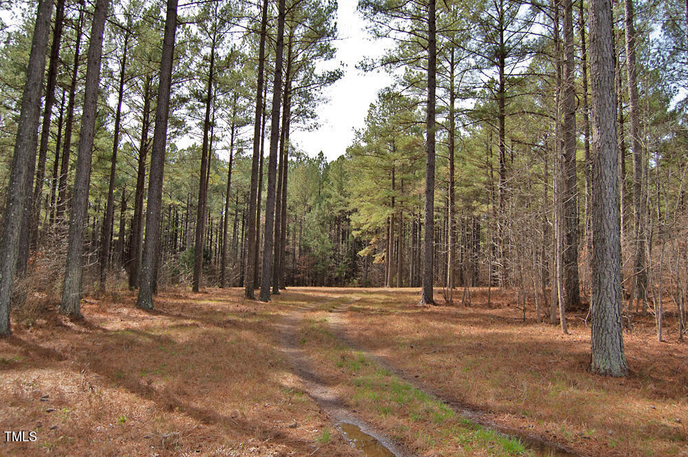 0 Highway 87 Pittsboro, NC 27312 - Photo 24 of 87 DSC_0290