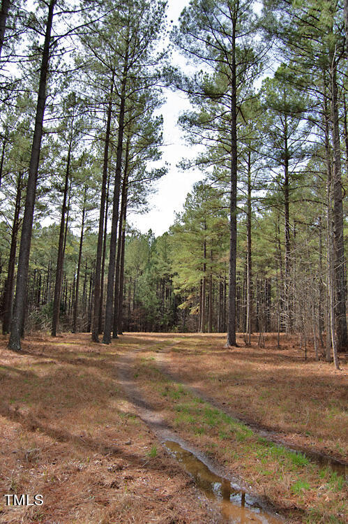 0 Highway 87 Pittsboro, NC 27312 - Photo 25 of 87 DSC_0291