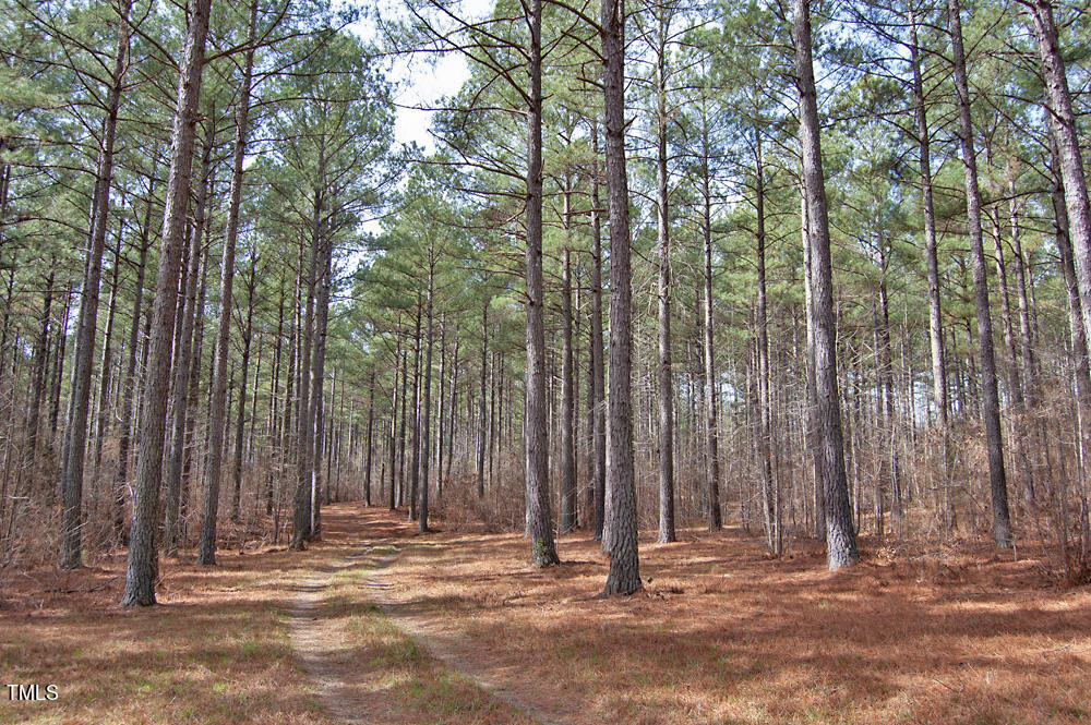 0 Highway 87 Pittsboro, NC 27312 - Photo 26 of 87 DSC_0292