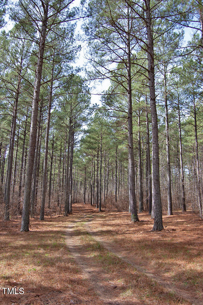 0 Highway 87 Pittsboro, NC 27312 - Photo 27 of 87 DSC_0293