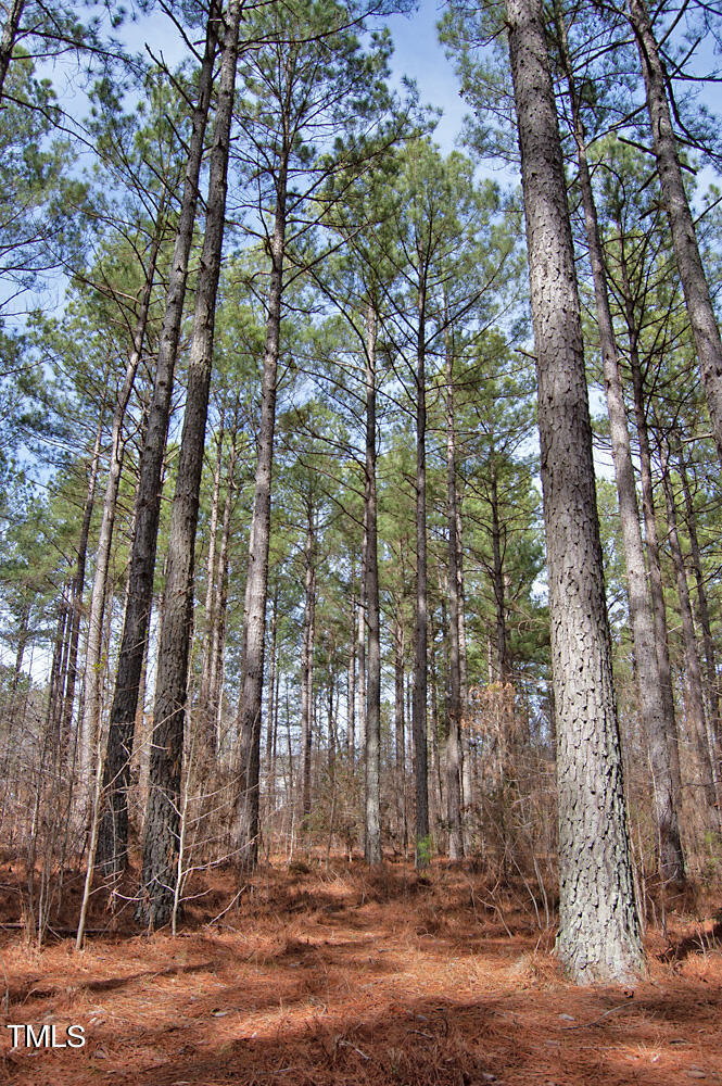 0 Highway 87 Pittsboro, NC 27312 - Photo 28 of 87 DSC_0294