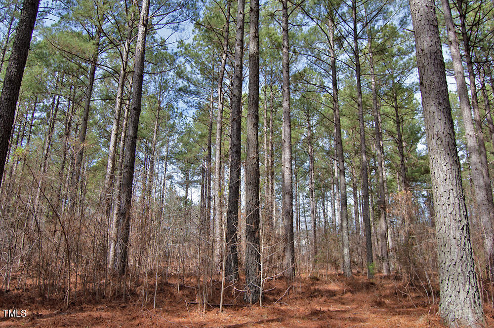 0 Highway 87 Pittsboro, NC 27312 - Photo 29 of 87 DSC_0295
