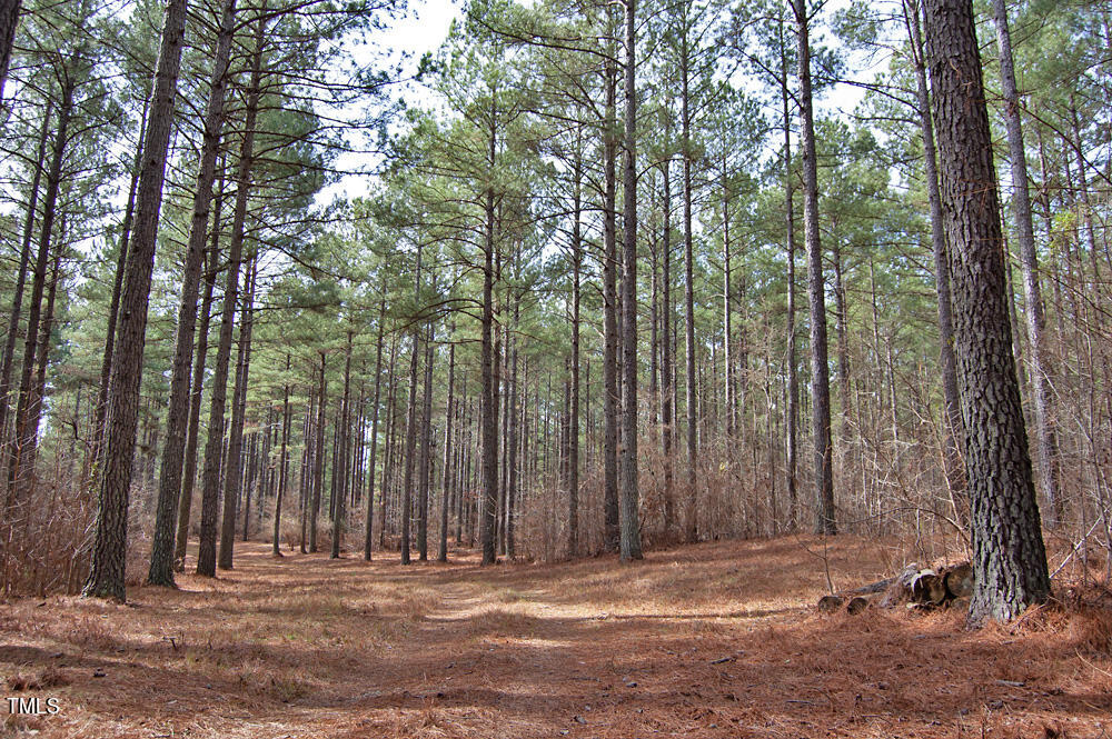 0 Highway 87 Pittsboro, NC 27312 - Photo 30 of 87 DSC_0296
