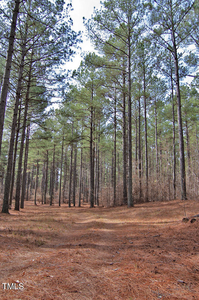 0 Highway 87 Pittsboro, NC 27312 - Photo 31 of 87 DSC_0297
