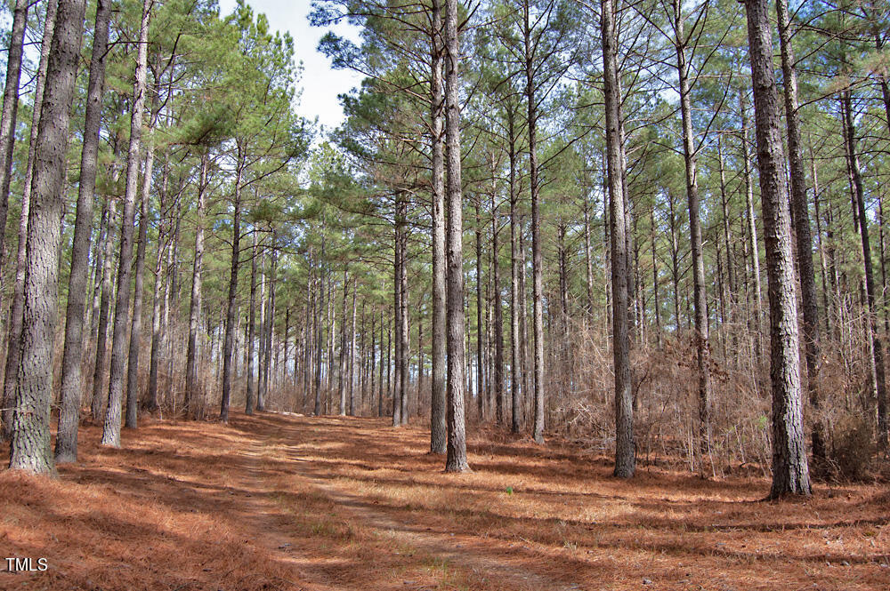 0 Highway 87 Pittsboro, NC 27312 - Photo 33 of 87 DSC_0299