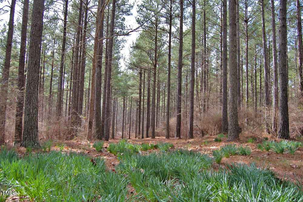 0 Highway 87 Pittsboro, NC 27312 - Photo 34 of 87 DSC_0300