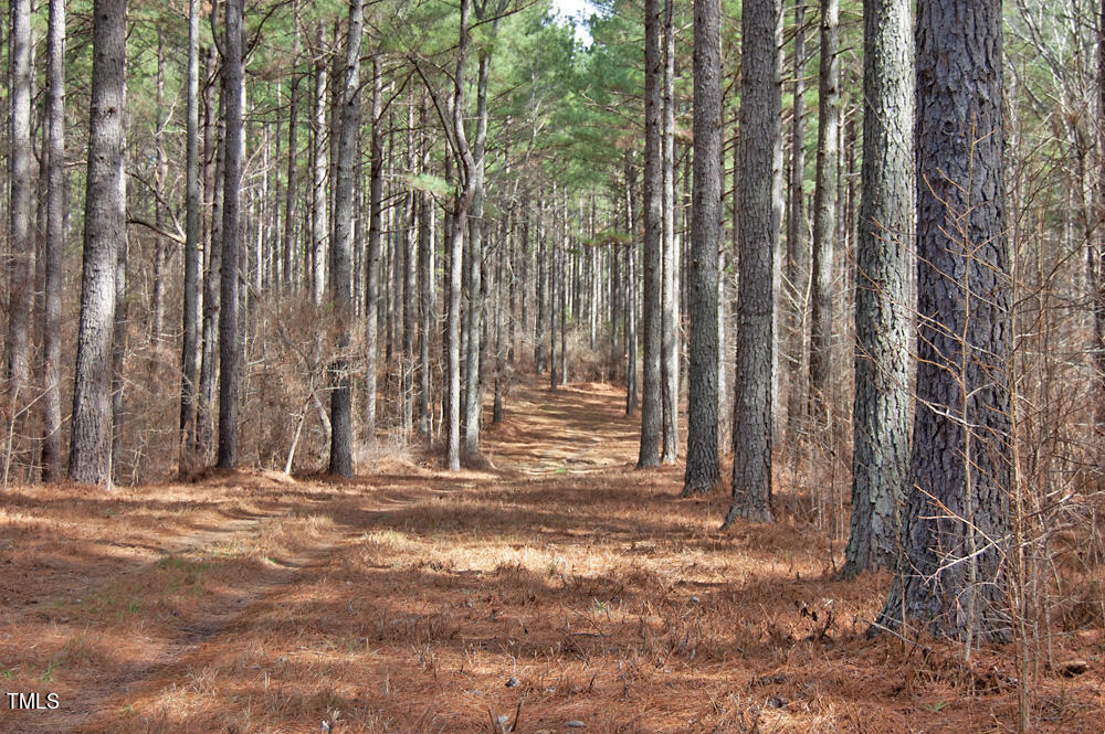 0 Highway 87 Pittsboro, NC 27312 - Photo 35 of 87 DSC_0302