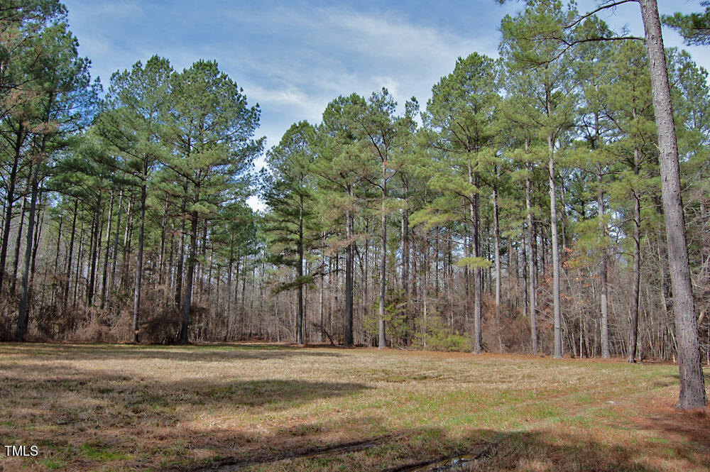 0 Highway 87 Pittsboro, NC 27312 - Photo 36 of 87 DSC_0304