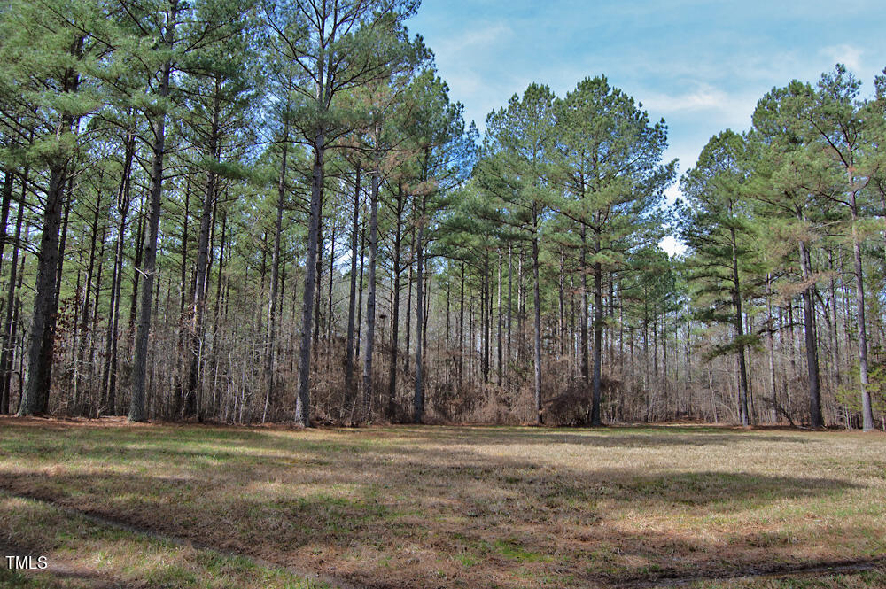 0 Highway 87 Pittsboro, NC 27312 - Photo 37 of 87 DSC_0305