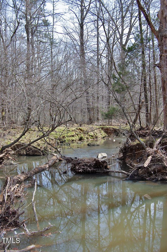 0 Highway 87 Pittsboro, NC 27312 - Photo 38 of 87 DSC_0306