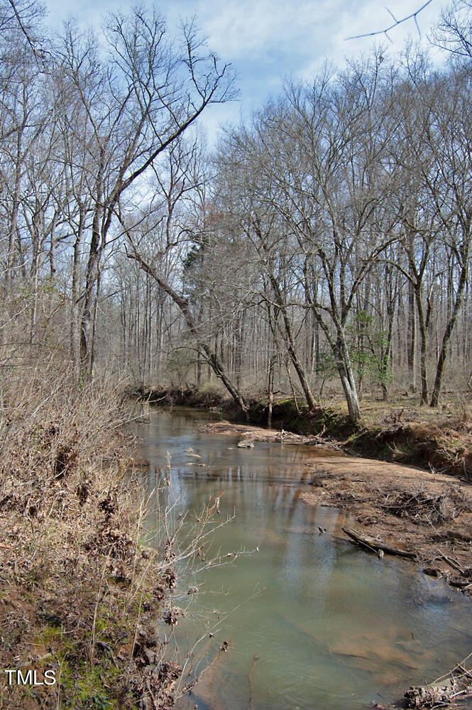0 Highway 87 Pittsboro, NC 27312 - Photo 39 of 87 DSC_0308