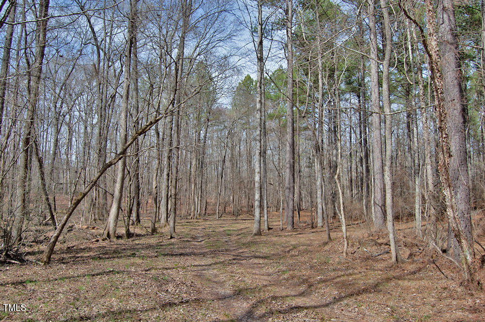 0 Highway 87 Pittsboro, NC 27312 - Photo 40 of 87 DSC_0309