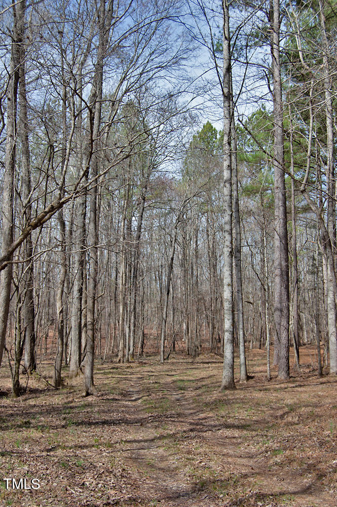 0 Highway 87 Pittsboro, NC 27312 - Photo 41 of 87 DSC_0310