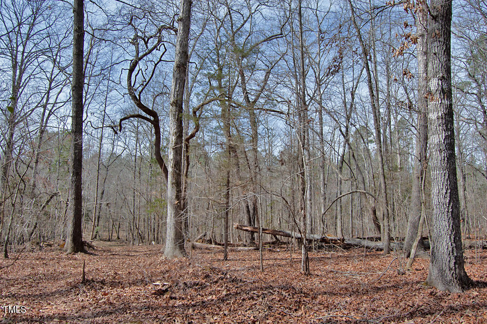 0 Highway 87 Pittsboro, NC 27312 - Photo 42 of 87 DSC_0311