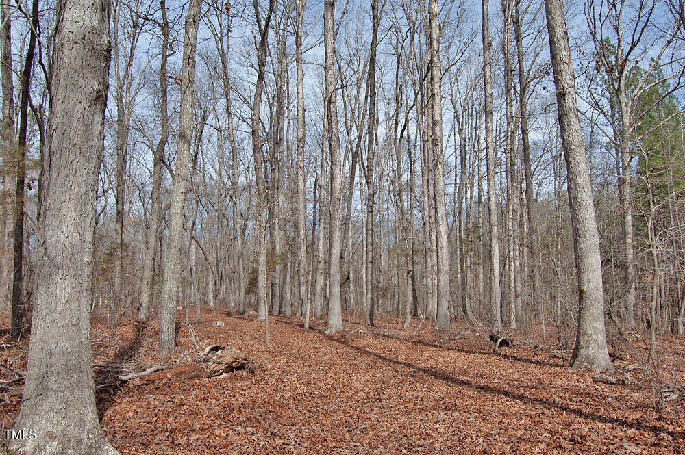 0 Highway 87 Pittsboro, NC 27312 - Photo 43 of 87 DSC_0312