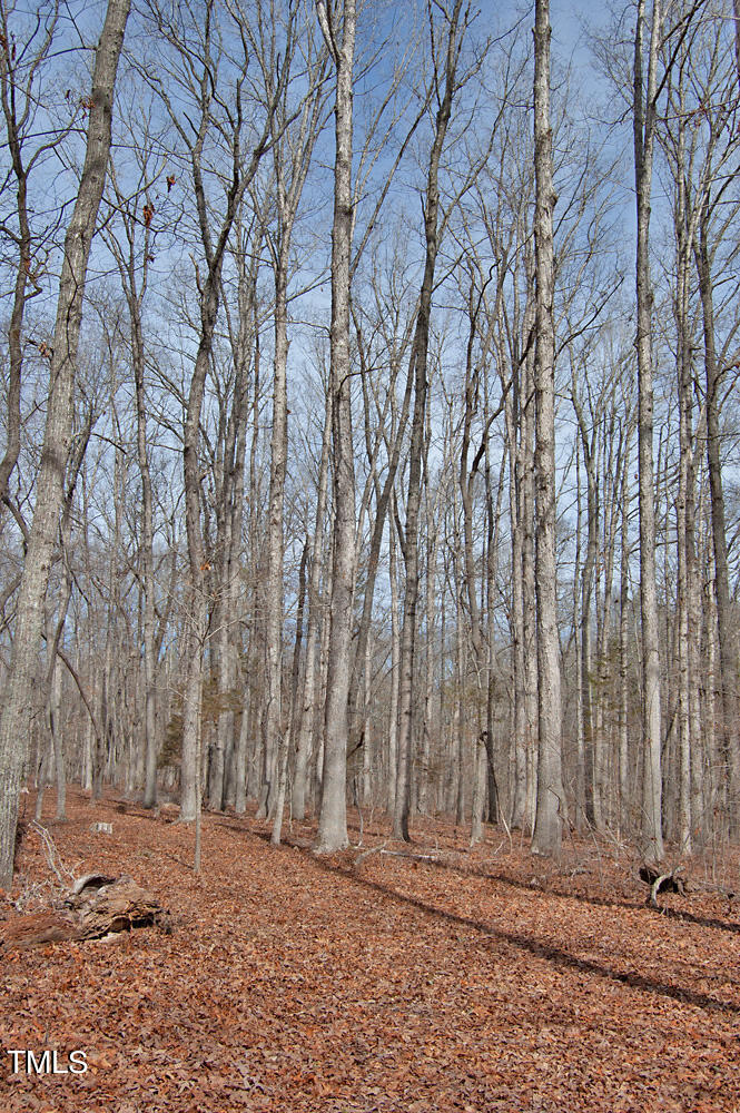 0 Highway 87 Pittsboro, NC 27312 - Photo 44 of 87 DSC_0313