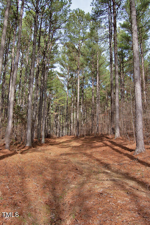 0 Highway 87 Pittsboro, NC 27312 - Photo 46 of 87 DSC_0315