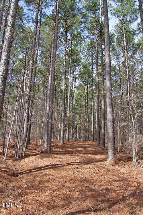 0 Highway 87 Pittsboro, NC 27312 - Photo 47 of 87 DSC_0317