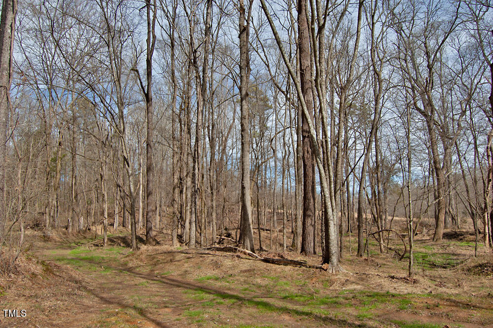 0 Highway 87 Pittsboro, NC 27312 - Photo 48 of 87 DSC_0318