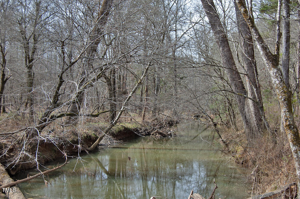 0 Highway 87 Pittsboro, NC 27312 - Photo 49 of 87 DSC_0319