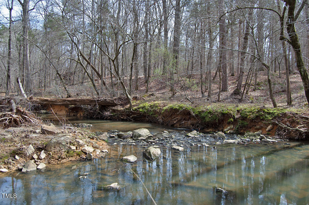0 Highway 87 Pittsboro, NC 27312 - Photo 51 of 87 DSC_0321
