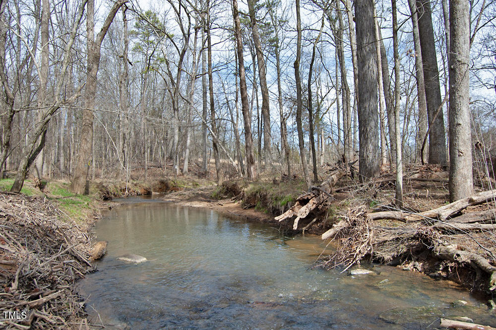0 Highway 87 Pittsboro, NC 27312 - Photo 52 of 87 DSC_0322