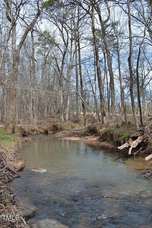 0 Highway 87 Pittsboro, NC 27312 - Photo 53 of 87 DSC_0323