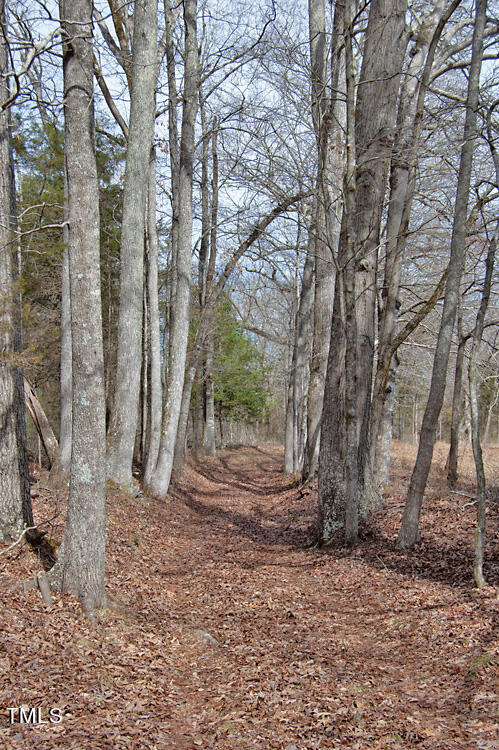 0 Highway 87 Pittsboro, NC 27312 - Photo 54 of 87 DSC_0324