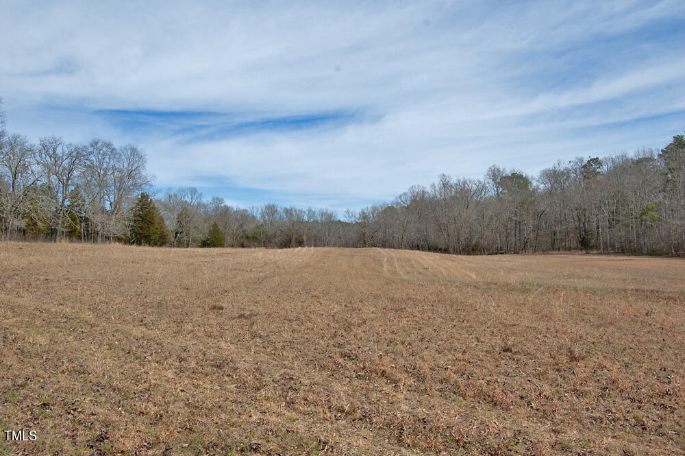 0 Highway 87 Pittsboro, NC 27312 - Photo 56 of 87 DSC_0326