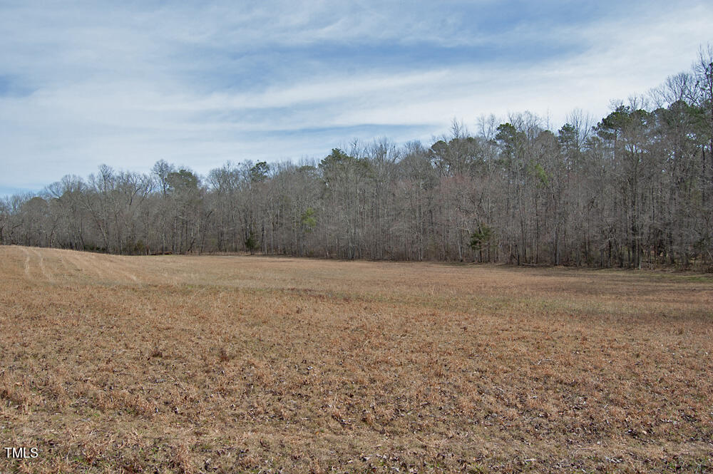 0 Highway 87 Pittsboro, NC 27312 - Photo 57 of 87 DSC_0327