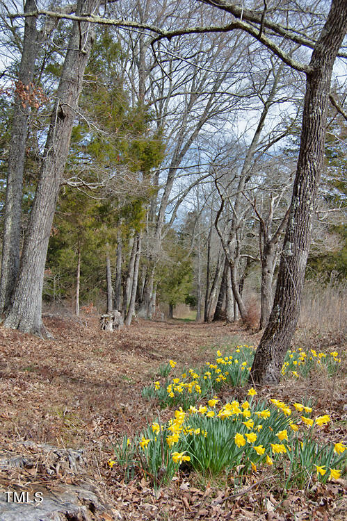 0 Highway 87 Pittsboro, NC 27312 - Photo 59 of 87 DSC_0329
