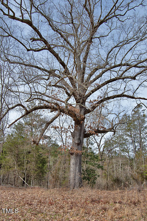 0 Highway 87 Pittsboro, NC 27312 - Photo 60 of 87 DSC_0330