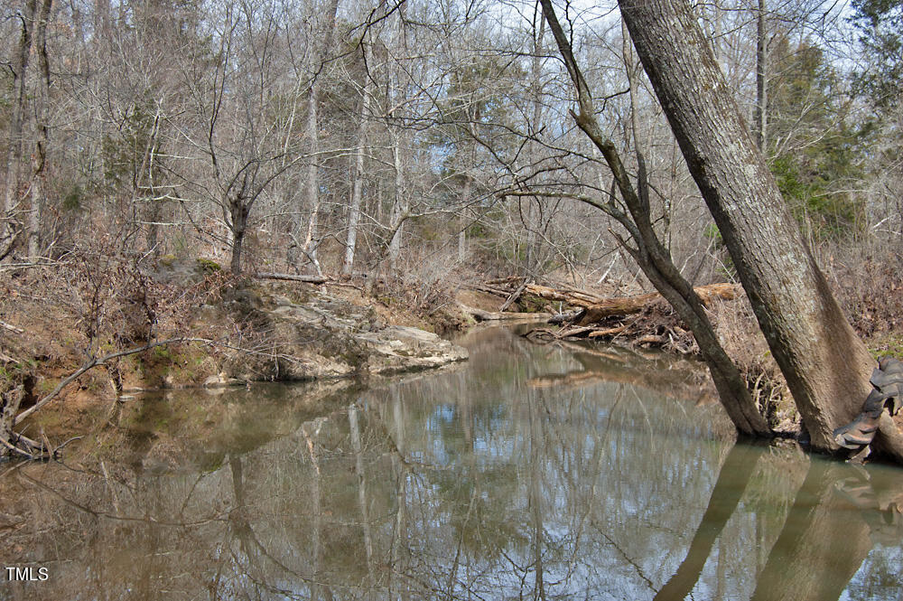 0 Highway 87 Pittsboro, NC 27312 - Photo 61 of 87 DSC_0331