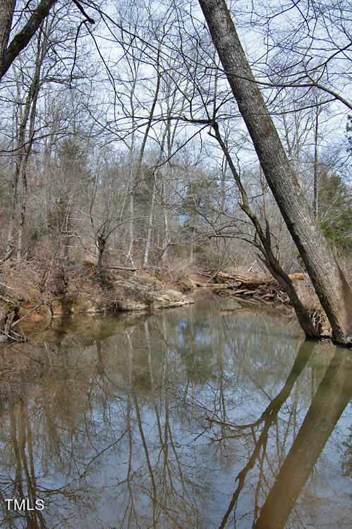 0 Highway 87 Pittsboro, NC 27312 - Photo 62 of 87 DSC_0332